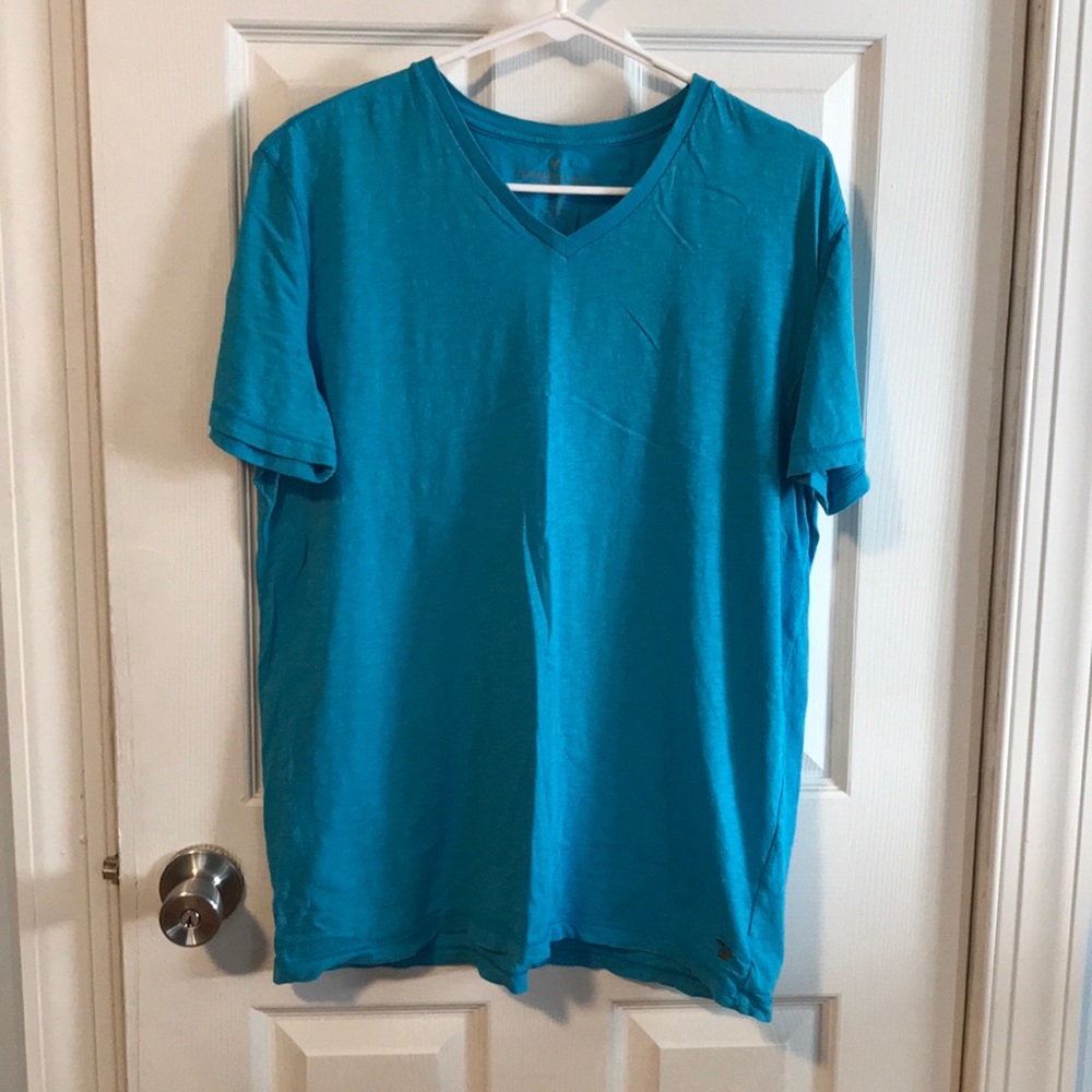 American Eagle V neck size large